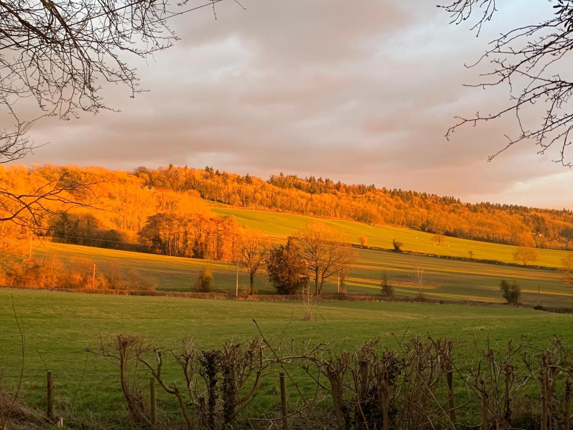 Hedgehog Lodge Colwall Екстериор снимка